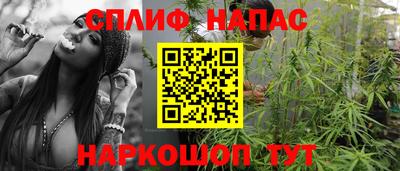 прущие грибы Славгород