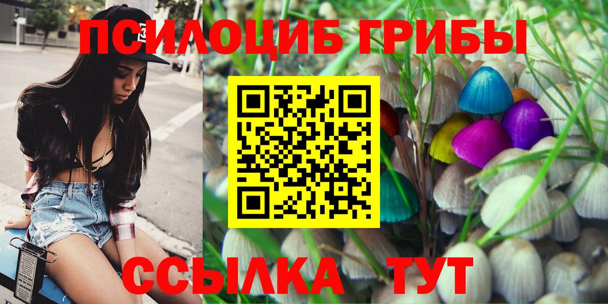 Богданович  Псилоцибиновые грибы мицелий  купить   Вход с VPN 